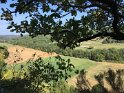 2018-09-20 11-16-52 Rando Combas